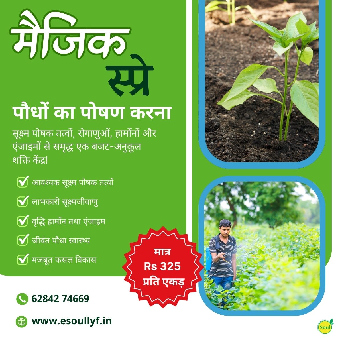 Magic Spray | Plant Nutrition