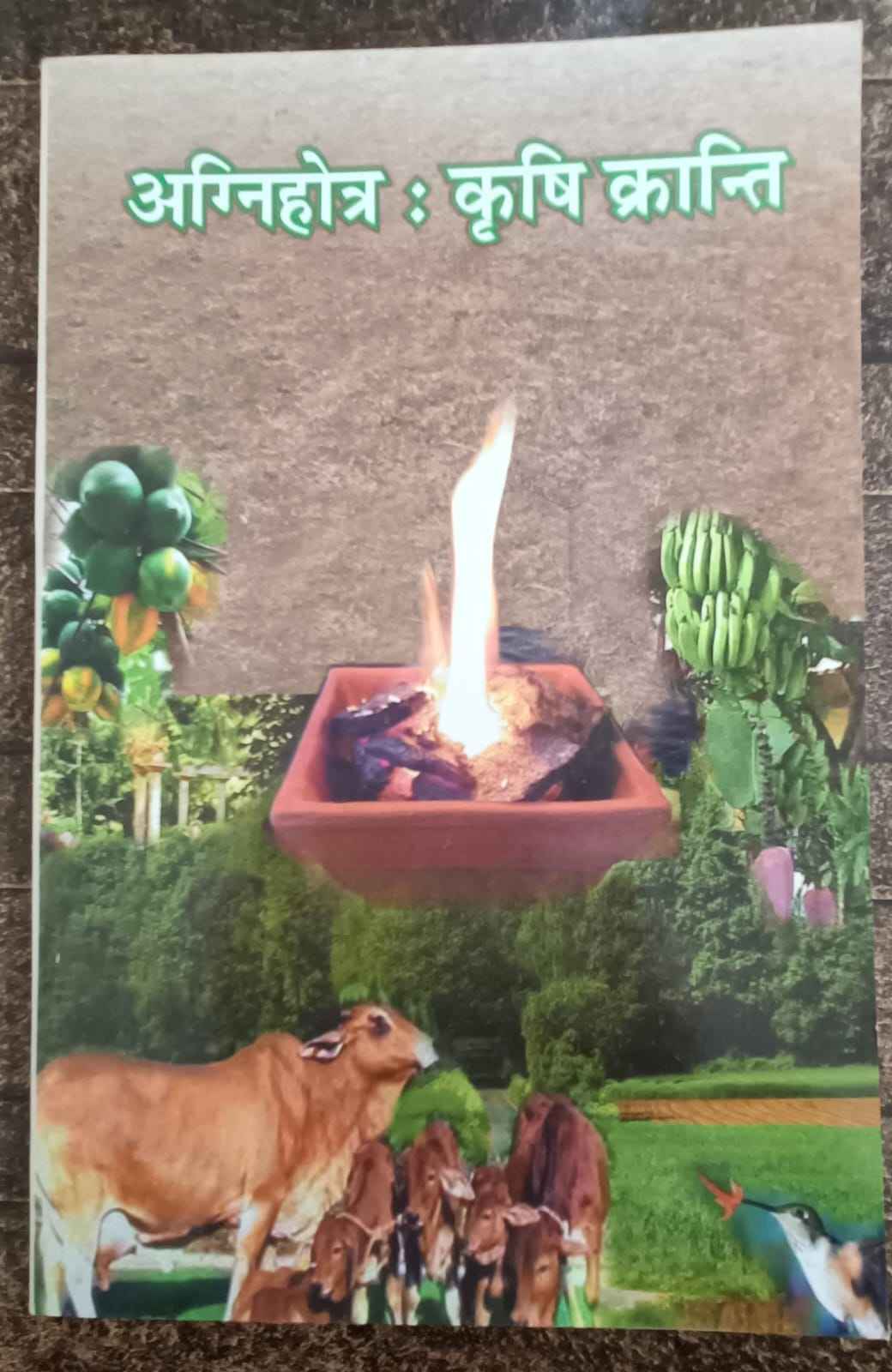 11 Books Set - SOUL SOCIETY FOR ORGANIC FARMING