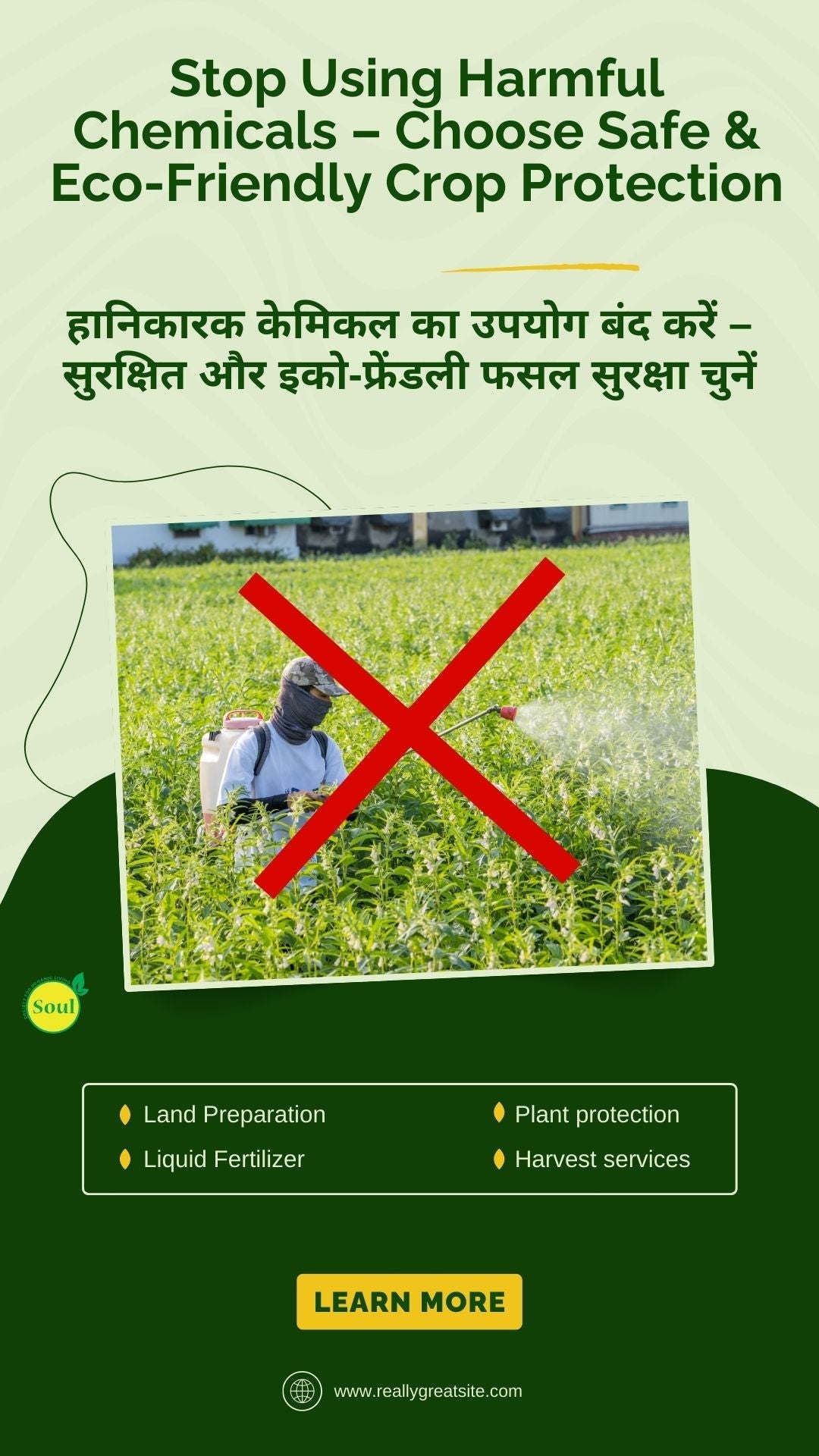 Nano Silver AG+ for Bacterial, Viral & Fungal Diseases | Plant Protection Formula