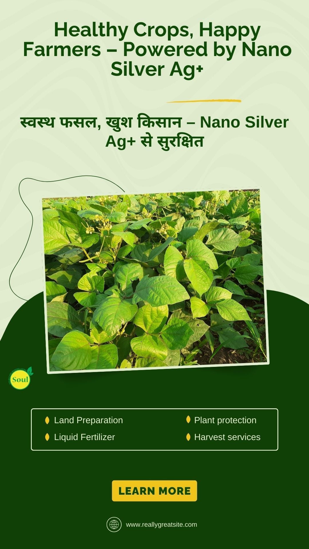 Nano Silver AG+ for Bacterial, Viral & Fungal Diseases | Plant Protection Formula