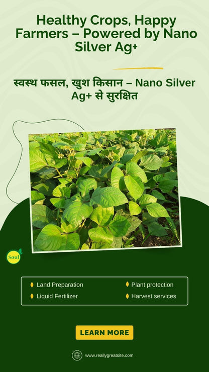 Nano Silver AG+ for Bacterial, Viral & Fungal Diseases | Plant Protection Formula
