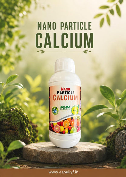 Nano Particle Calcium