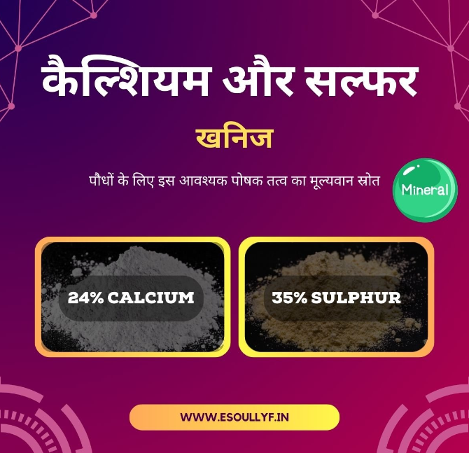 Calcium & Sulphur Mineral 24:35