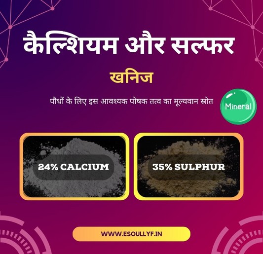Calcium & Sulphur Mineral 24:35