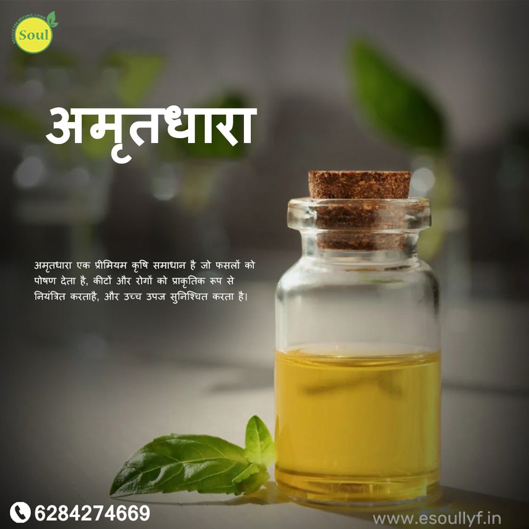Amritdhara - SOUL SOCIETY FOR ORGANIC FARMING
