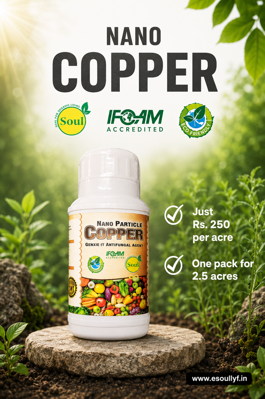Nano Copper : Fungal Disease Cure | Advanced Replacement for Copper Oxychloride | Potent Solution