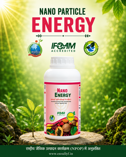 Nano Energy