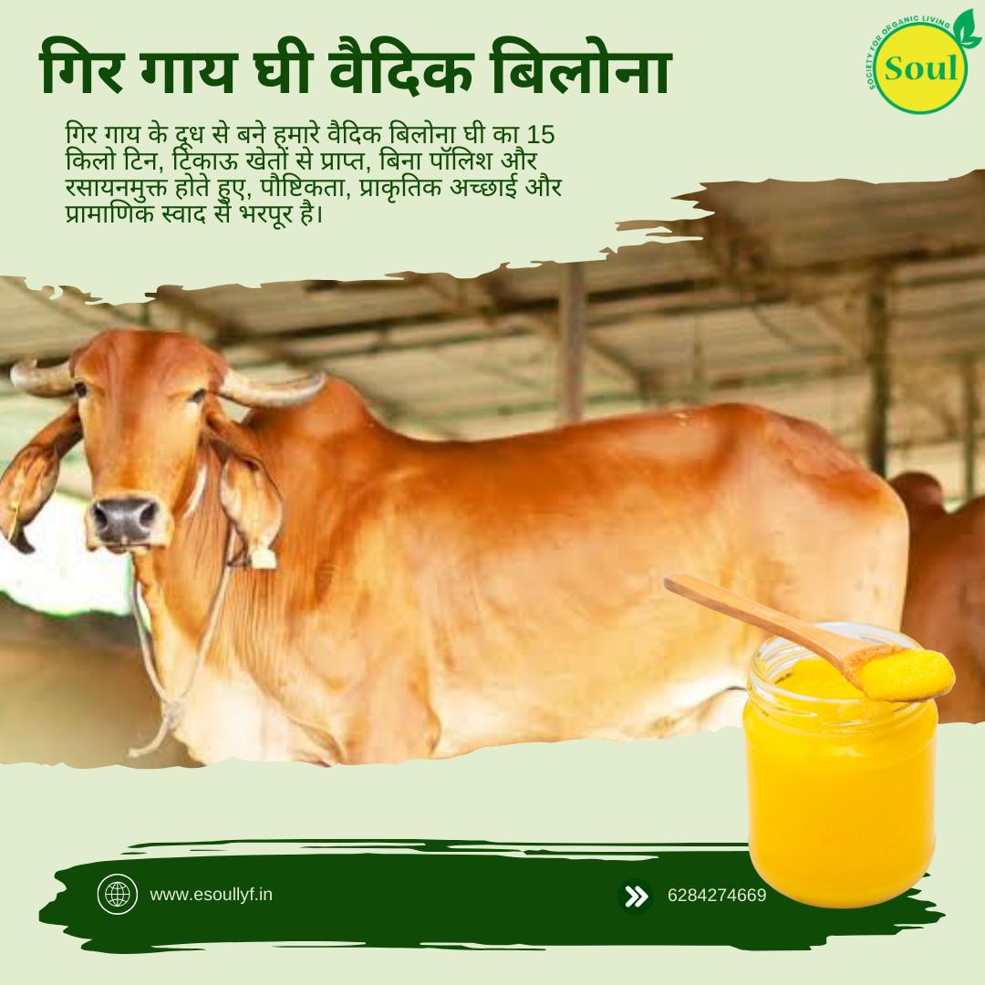 Gir Cow Ghee Vedic Bilona - SOUL SOCIETY FOR ORGANIC FARMING