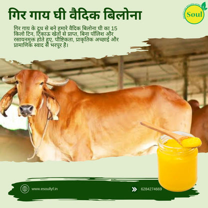 Gir Cow Ghee Vedic Bilona - SOUL SOCIETY FOR ORGANIC FARMING