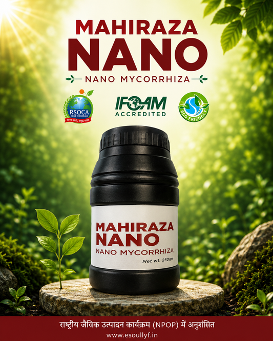 Nano Mycorrhiza | Mahiraza 250gm