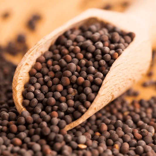 Mustard seeds (Black) - SOUL SOCIETY FOR ORGANIC FARMING