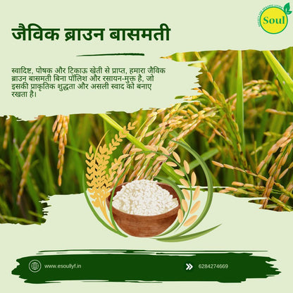 Organically Grown Brown Basmati | Brown - SOUL SOCIETY FOR ORGANIC FARMING