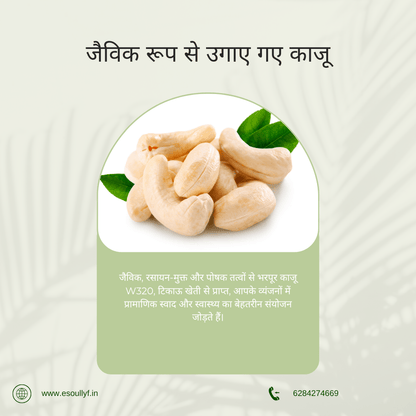 Organically Grown Cashew | Kaju - SOUL SOCIETY FOR ORGANIC FARMING