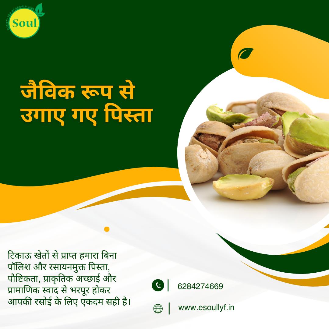 Organically Grown Pistachio - SOUL SOCIETY FOR ORGANIC FARMING