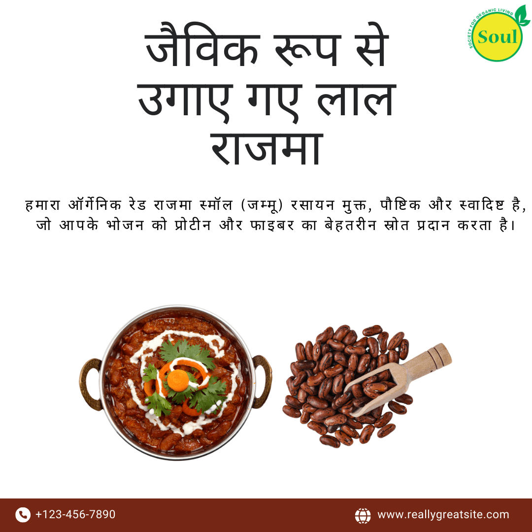 Organically Grown Red Rajma | Jammu | Small - SOUL SOCIETY FOR ORGANIC FARMING