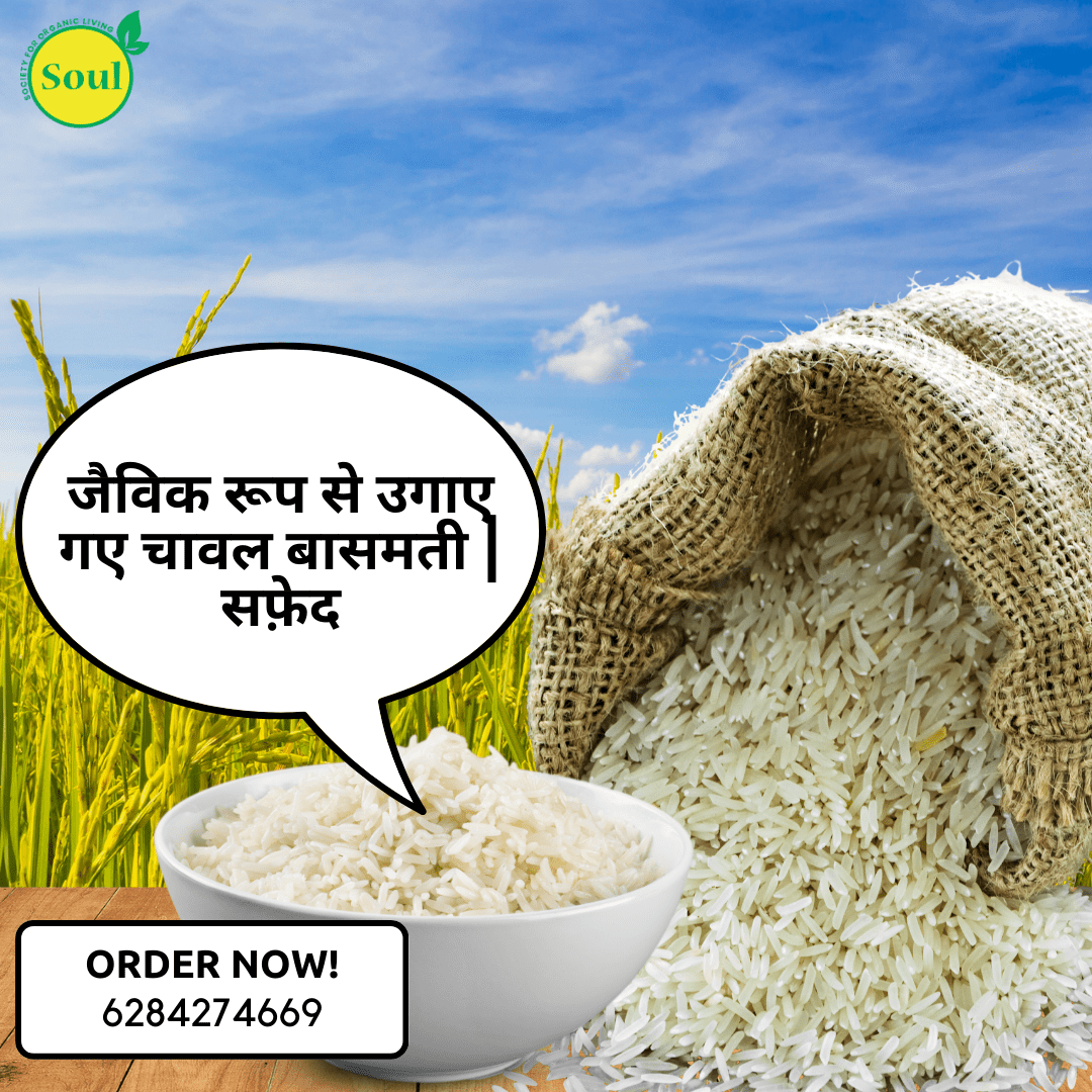 Organically Grown Rice Basmati | White - SOUL SOCIETY FOR ORGANIC FARMING