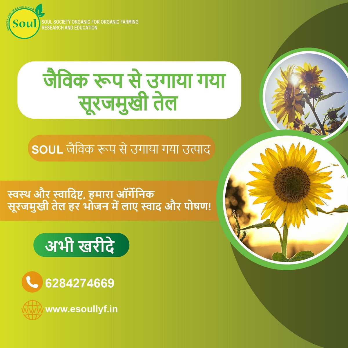 Organically Grown Sunflower Oil - SOUL SOCIETY FOR ORGANIC FARMING
