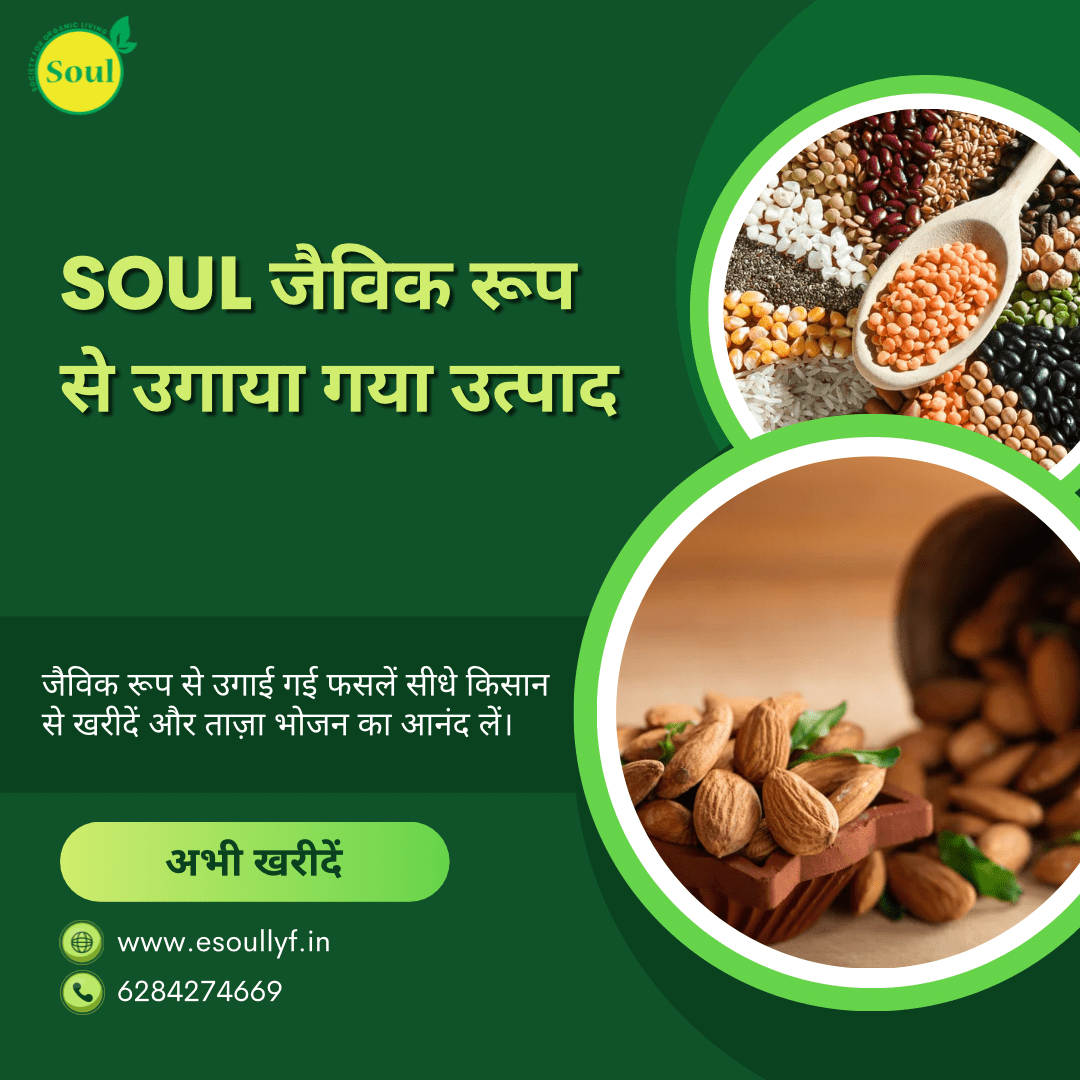 Organically Grown Walnut Oil - SOUL SOCIETY FOR ORGANIC FARMING