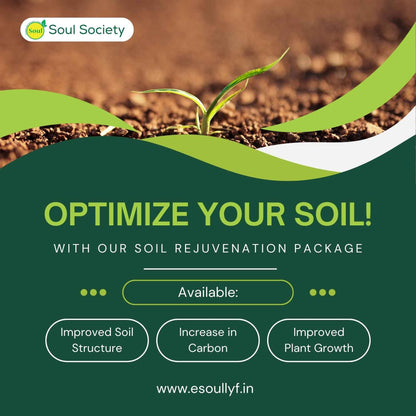 Soil Rejuvenation Kit - For Light or Sandy Soil - SOUL SOCIETY FOR ORGANIC FARMING