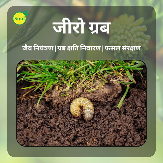 Zero Grub - SOUL SOCIETY FOR ORGANIC FARMING